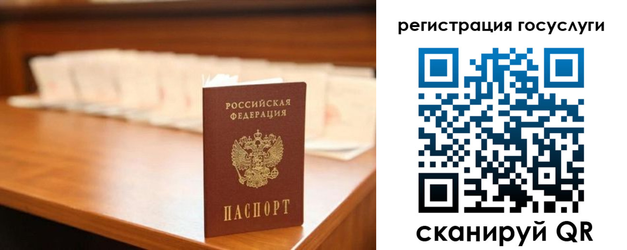 прописка в квартире в Химках