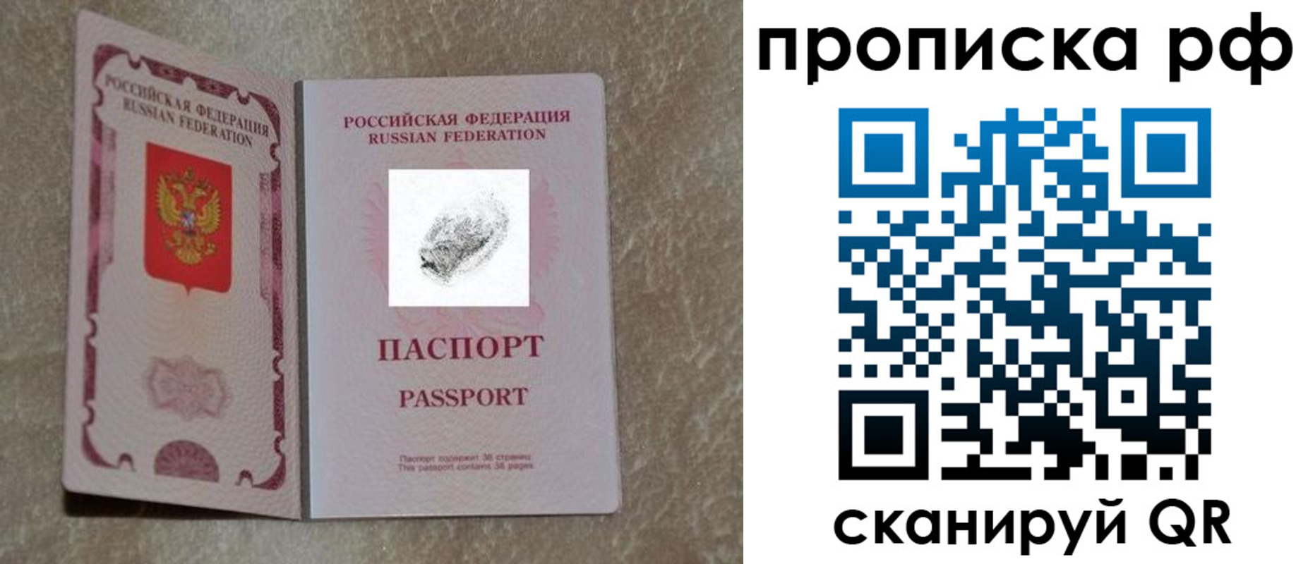прописка поиск в Химках